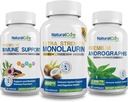 Natural Cure Labs Immune Sche Set