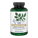 Vitanica Bladder Ease, υποστήριξη της ουροδόχου κύστης, Vegan, 180 κάψουλες