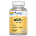 SOLARAY No Flush Niacin 500mg, Flush-free Βιταμίνη B3 Niacin, Ενέργεια και Circulatory System Support, Vegan, Lab Επαληθευμένο, 60 ημερών εγγύηση επιστροφής χρημάτων, 100 εξυπηρετήσεις, 100 VegCaps