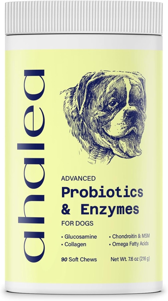 Köpekler için Probiyotikler Digestive Health, Support Gut Health, Diarrhea, Digestive Health & Season Allergies, 90 2 Milyar CFUs