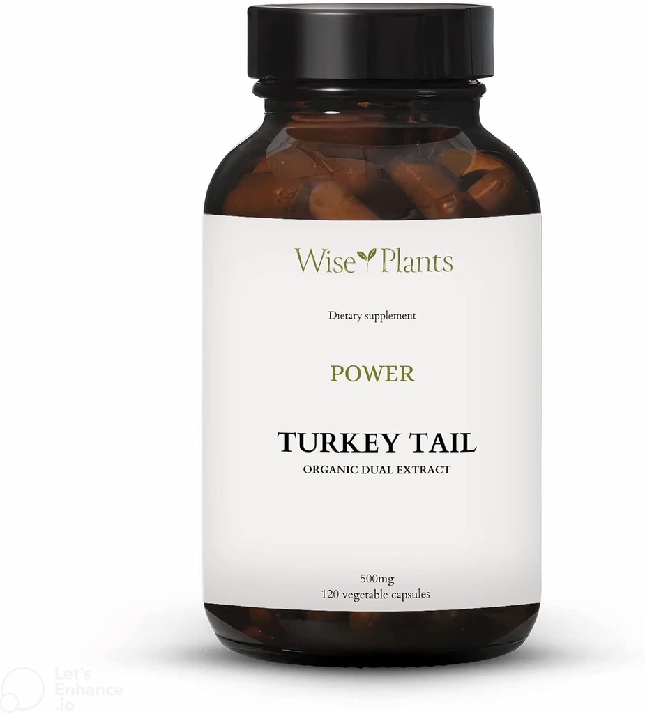 Türkiye Tail Mushroom Supplement. Dual Extract, Pure Fruiting Body, %30 Polysaccharides, 500 mg, 120 vegecaps (60-Day Supply). Sağlıklı Immune Fonksiyonları Destekleyebilir