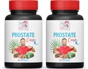 Saw Palmetto συμπλήρωμα - Prostate υποστήριξη PILS - φυσικά συστατικά, Saw Palmetto, Stinging Nattle Leaf, Makeake Mushroom, Reishi, Shiitake, Prostate συμπλήρωμα υποστήριξης για τους άνδρες, 2 μπουκάλια 120 Caps