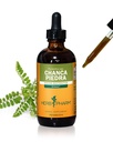 Herb Pharm Chanca Piedra Sıvı Urinary System Support - 4 Ounce