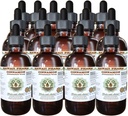 Cinnamon Alkol-Free Liquid Extract, Cinnamon (Cinnamomum Verum) kuru Bark Glycerite Hawaii Pharm Natural Herbal Supplement 15x4 oz