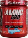 iSatori Amino-GRO BCAA σκόνη, διακλαδισμένη αλυσίδα Αμινοξέα με γλουταμίνη, ηλεκτρολυτική σκόνη & Bio-GRO Bio-Active Peptides για την ανάπτυξη μυών & μετά την αποκατάσταση προπόνησης, Blue Razz Snow Cone (30 εξυπηρετήσεις)