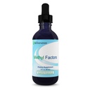 Nutra Biogenesis Metil Faktörleri - B12 Drops, Metilfolate Drops, Kadınlar ve Erkekler için Sublingual Liquid, Çocuklar ve Yetişkinler için Folic Acid ile B Kompleks, Enerji Tamam, Sugar Free - 2 Fl Oz Oz