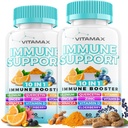 10in-1 Immune Support with Elderberry, D3, Selenium, Quercetin, çinko, C, Ginger, Turmeric Curcumin, B6, Echinacea – Immune Defense – ABD'de (60 Kont)