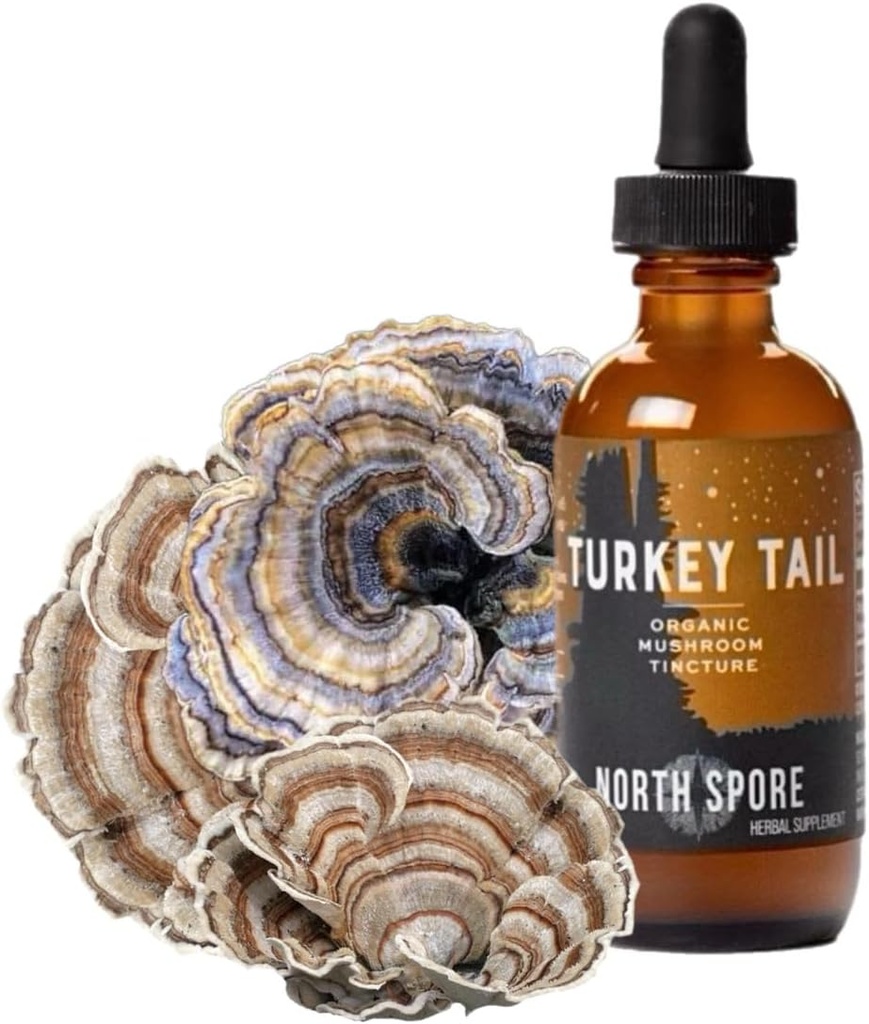 Kuzey Sporu Organik Türkiye Kulütür | Immune Wellness | Sustainable Grown & Onaylı Potency | Trametes Versicolor Extract | Vegan, Non-GMO - 2oz