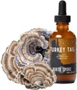 Kuzey Sporu Organik Türkiye Kulütür | Immune Wellness | Sustainable Grown & Onaylı Potency | Trametes Versicolor Extract | Vegan, Non-GMO - 2oz