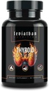 Leviathan Tiroid Desteği | Enerji & Tiroid Sağlığı ve Iodine Supplement, Selenium, çinko, Manganese, Copper, L Tyrosine, Guggul Kadınlar ve Erkekler için Destek