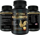 Gallobiyotik Rooster için Doğal Multivitamin, Hens - 100 Tablet | Vitamina Completas para Gallos