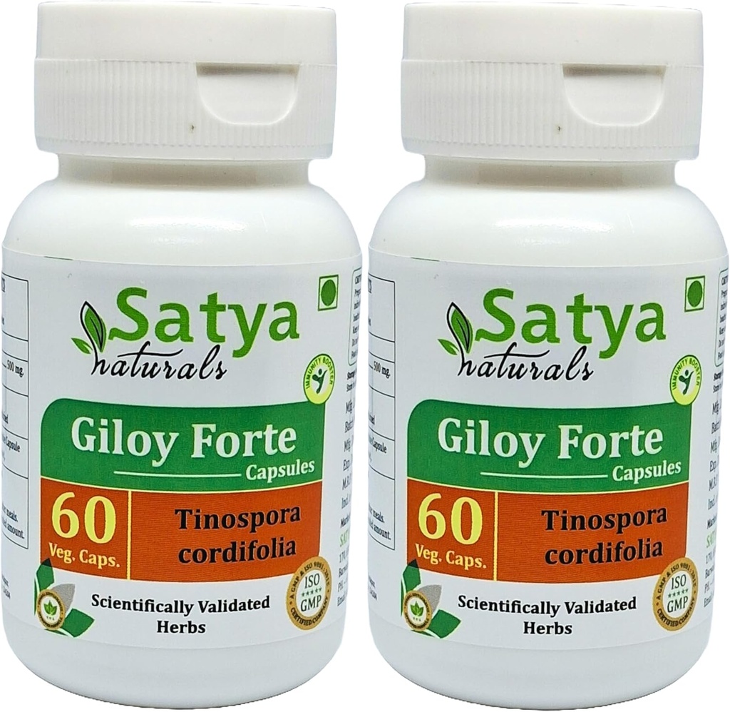 Giloy Forte Capsules 500 mg. 60 Veg. Capsule | Guduchi (Tinospora Cordifolia) Erkekler ve kadınlar için Kapsüller | Hint Ayurvedic Herbal Supplement/R tarafından kaçırıldı (2 60 Capsules Şişeler)