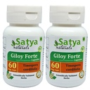 Giloy Forte Capsules 500 mg. 60 Veg. Capsule | Guduchi (Tinospora Cordifolia) Erkekler ve kadınlar için Kapsüller | Hint Ayurvedic Herbal Supplement/R tarafından kaçırıldı (2 60 Capsules Şişeler)