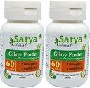 Giloy Forte Capsules 500 mg. 60 Veg. Capsule | Guduchi (Tinospora Cordifolia) Erkekler ve kadınlar için Kapsüller | Hint Ayurvedic Herbal Supplement/R tarafından kaçırıldı (2 60 Capsules Şişeler)