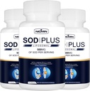 Superoksit Dismutase Supplement 500 mg - SOD Plus with Liposomal Glutathione, AKG, Green Tea Extract, L-Arginine, Lysine, Resveratrol ve Immune Support, Antioksi 180 Capsules
