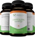 Cryptolepis Synergy, Immune Support Vitamins, Immune System Branson for Yetişkinler, Liver, Lymphatic, & Immune Support Supplement, Supports Lyme & Natural Parasite Defense, 120 Capsules, 3 Pack