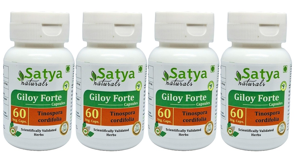 Giloy Forte Capsules 500 mg. 60 Veg. Capsule | Guduchi (Tinospora Cordifolia) Erkekler ve kadınlar için Kapsüller | Hint Ayurvedic Herbal Supplement/R, 60 Capsules (4 Şişeler)
