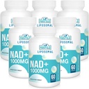 Liposomal NAD+ Supplement 1000 mg | En Yüksek NAD Pontecy | Max Aborpsiyon | Pure NAD Supplement | Enerji ve DNA Tamir, Aging Defense, Brain Function | 360 Softgels