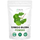 Ginkgo Biloba Toz 8 oz - Pure Natural Supplement, Beyin Desteği, Ruh Uyarısı, Filler Ücretsiz