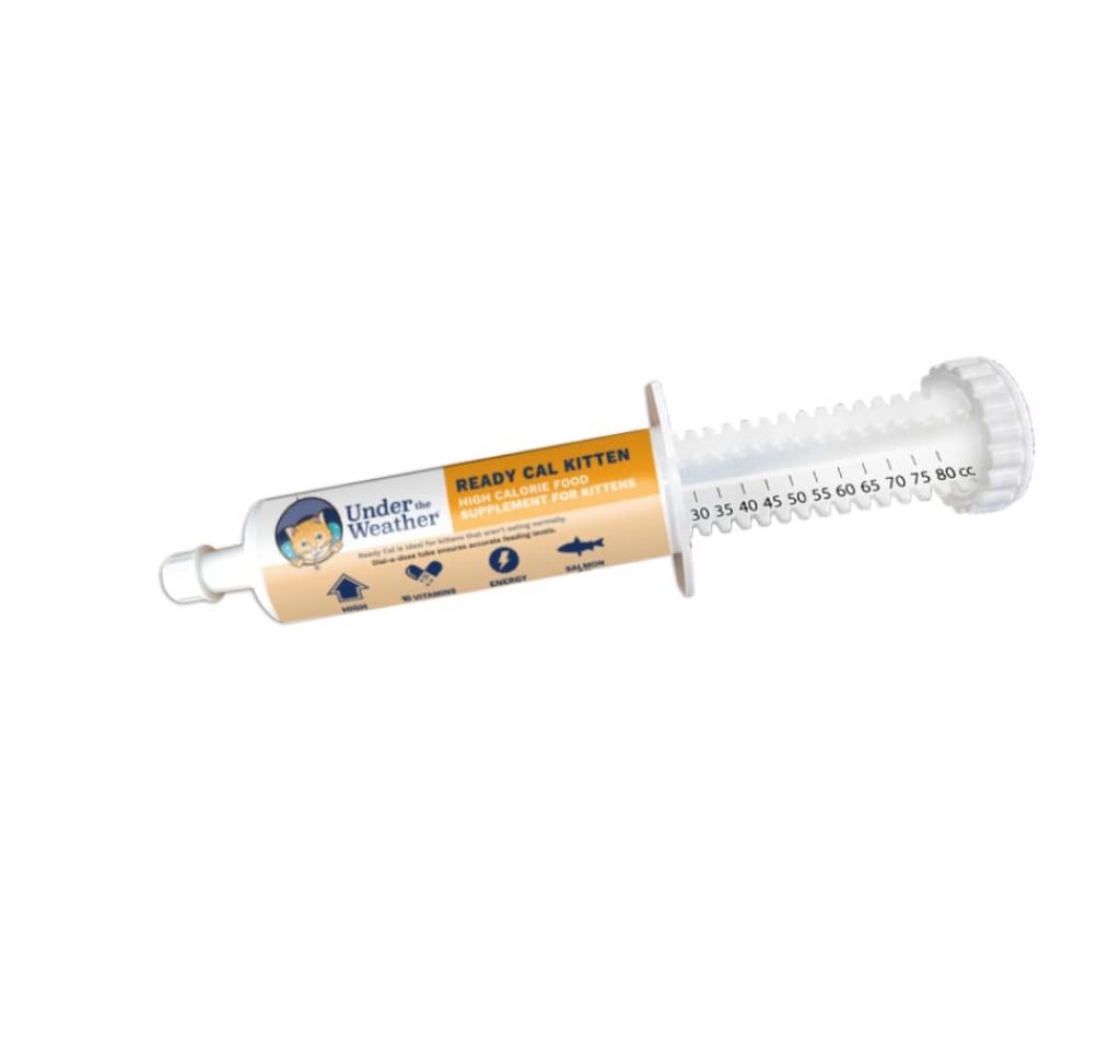 Hava Altını | Kitten için Cal Hazır | Kilo Verme ve Sağlıklı Kilo Bakımı | 10 Vitamin, 7 Minerals, Omega Fatty Acids & Carbohidratlar | 80cc