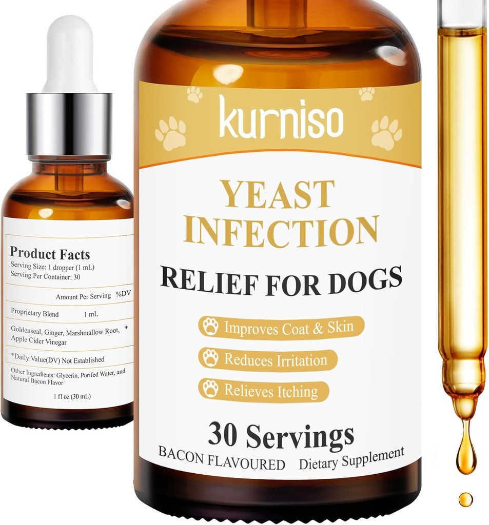 Doğal Köpek Kulak Enfeksiyonu Enfeksiyon Enfeksiyonu