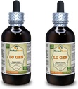 Lu Gen, Reed (Phragmites Communis) Tincture, Tray Root Liquid Extract (Brand Name: HerbalTerra, Proudly Made in USA) 2x4 fl.oz (2x120 ml)