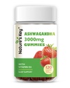 Nature's Key Ashwagandha Gummies, High Potency Ashwagandha Root Extract with Vitamin D2, for Men & Women, Stress, Calm Mood & Cognition, Strawberry Flavor (120 Kont)