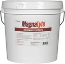 MagnaLyte Loose Salt ve Electrolytes for Horses by Eagle Equine | Mineral deniz Salt, Trace Minerals, Electrolytes | 20 Pound Kova