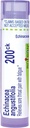 Boiron Echinacea Purpurea 200Ck For Sore Throat Pain with Fatigue - 80 Pellets