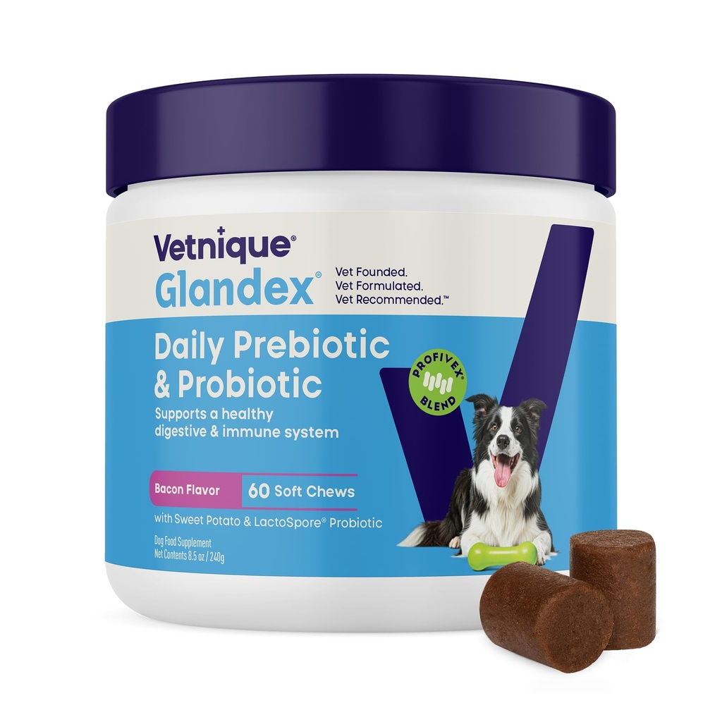 Vetnique Glandex Daily Probiyotiks for Dogs with Prebiyotiks to Support Gut Health with Fiber and Digestive Enzymes, Probiyotik Chews or Tozs (60ct Chews, Bacon Chews)