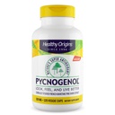 Υγιής Προέλευση Pycnogenol 100 mg (Υπεραντιοξειδωτικό της φύσης, Μη ΓΤΟ, Χωρίς Γλουτένη, Καρδιαγγειακή Υποστήριξη), 120 Καπάκια Veggie