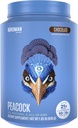 BIRDMAN Peacock Vegan Protein Toz | Komple Plant Based Mealchange Shake with Magnezyum Vitamin D, MCT Oil | All in One Supplement for Men and Women | Smooth Texture | Chocolate Flavor