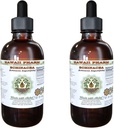 Echinacea υγρό εκχύλισμα χωρίς αλκοόλη, Echinacea (Echinacea Angustifolia) Αποξηραμένη ρίζα γλυκερίτης Χαβάη Pharm φυσικό φυτικό συμπλήρωμα 2x4 oz