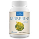 Sunergetic Premium Berberine Supplement - 1200 mg Per Servis - Berberine HCL Supplement Non-GMO - Immune Support- 60 Capsules