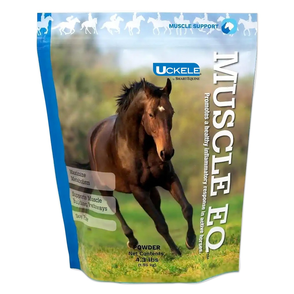 Kas EQTM Toz | L-Carnitine for Horses | Amino Asit Beta-Alanine for Optimal Kas Fonksiyonl & Supports Recovery | 4.3 lb Bag Bag