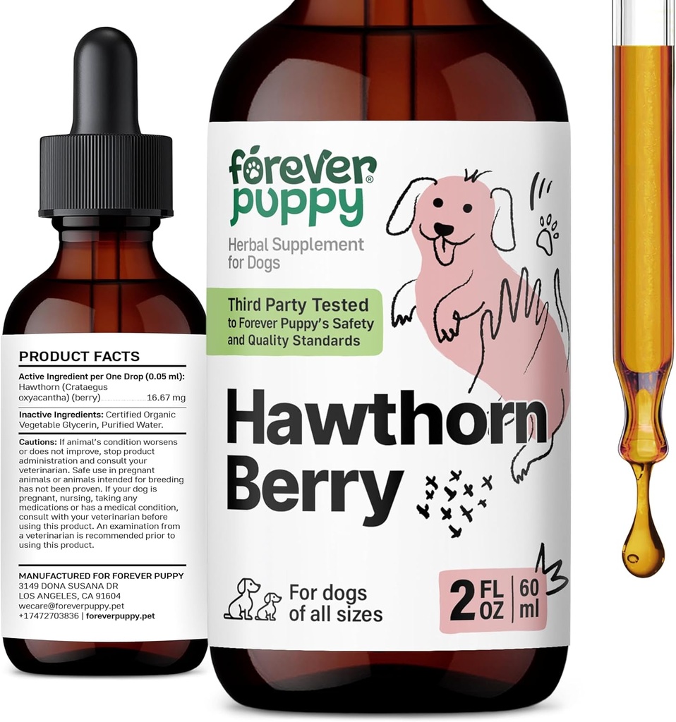 Forever Puppy Hawthorn σταγόνες μούρων για σκύλους - Αντιοξειδωτικό Βάμμα στήριξης για σκύλους w/Hawthorn Berry - Υγρό συμπλήρωμα υγείας καρδιάς για χαρούμενα κατοικίδια - Δεν Συντηρητικά & Τεχνητά χρώματα - 2 oz