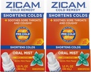 Zicam Cold Remedy çinko Arctic Mint Oral Mist, 1 Ounce (Pack of 2)