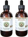 American Ginseng Alcohol-Free Liquid Extract, Ginseng (Panax Quinquefolius) Dried Root Glycerite Hawaii Pharm Natural Herbal Supplement 2x4 oz