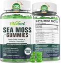 Sea Moss Gummies Sugar-Free, Extra Strength Irish Moss Gel Supplement with Iodine, Chlorophyll, Unfiltered ACV, D3, Burdock Root, Bladderwrack for Immune, Digestive, Skin, Hair, Det❤️x, Vegan, 2Pack