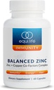 Equilife Balanced çinko, 15 mg çinko & Copper Co-Factor Kompleksi C & Vitamin B6 Günlük Immunity ve Wellness Desteği için, Gluten Free, Vegan, GMO, 60 Capsules