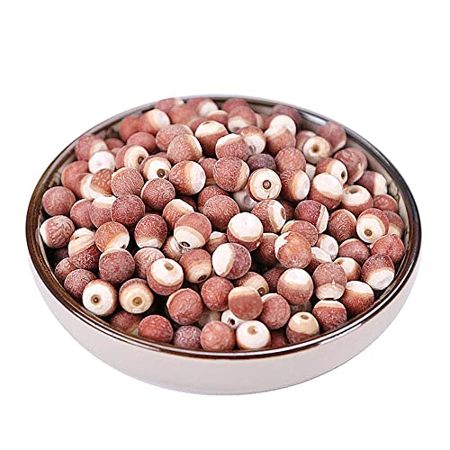 Gorgon Meyve Organik Kuru Gorgon Meyvesi Gorgon Meyvesi; Semen Euryales; Gorgon Euryale Tohum; Gordon Euryale Tohumu;qian Shi (500 Grams /1.10 lbs)