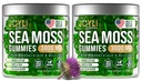 JOYLI Διατροφή 2 Πακέτο - Sea Moss Gummies για ενήλικες & παιδιά – Vegan Irish Sea Moss Συμπλήρωμα με Bladderwrack & Burdock Root – Sugar-Free Ανοσοποιητική Υποστήριξη Συμπληρώματα - 60 Gummy Bears ανά πακέτο