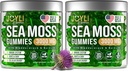 JOYLI Beslenme 2 Pack - Sea Moss Gummies for Yetişkinler & Çocuklar – Vegan İrlandalı Deniz Moss Tamamı Bladderwrack & Burdock Root – Sugar-Free Immune Support Supplements - 60 Gummy Bears per Pack