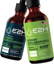 E2H: Liquid Chlorophyll Natural Flavor and Peppermint Flavor | Vegan, Non-GMO - 2 Fl Oz Each (4 Fl Oz Total) - Bundle