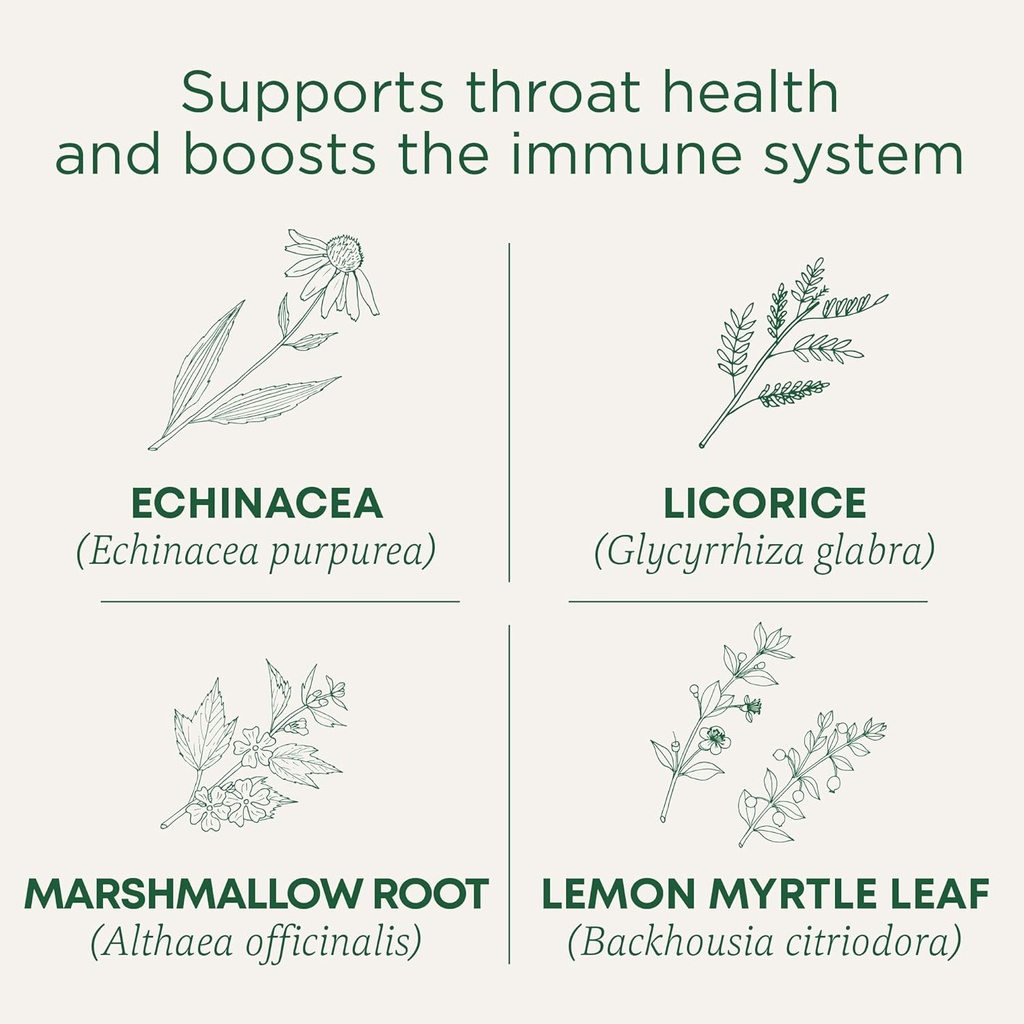 Geleneksel Medicinals Lozenges, Organik Throat Coat Lemon Ginger Echinacea, Sore Throat Support, 16 Count (Pack of 2)