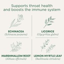 Geleneksel Medicinals Lozenges, Organik Throat Coat Lemon Ginger Echinacea, Sore Throat Support, 16 Count (Pack of 2)
