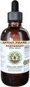 Raspberry Alkol Özgür Sıvı Ekstraksiyon, Organik Raspberry (Rubus idaeus) Kuru Broşür Glycerite Natural Herbal Supplement, Hawaii Pharm, ABD 2 fl.oz