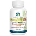 Amazing Herbs GraviolaEX Anona Muricata -% 100 Pure Graviola (Soursop) Extract, Natural Health from the Rain Forest, Herbal Dietary Supplement - 60