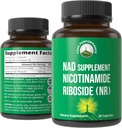 Nicotinamid Riboside NR Supplement. NMN Alternative NAD Supplement + Niacinamid for NAD+ Levels As We Age. Third Party Tested, Non-GMO, Gluten Free, Vegan NR Vitamin Supplements For Women And Men