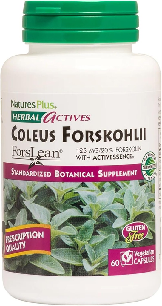 NaturesPlus Herbal Actives Coleus Forskohlii - 60 κάψουλες χορτοφάγων - Χωρίς γλουτένη - 60 εξυπηρετήσεις